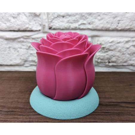 Rose lumineuse