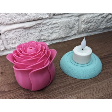 Rose lumineuse