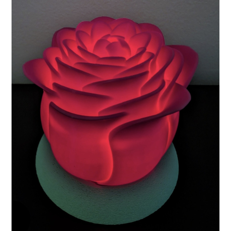 Rose lumineuse