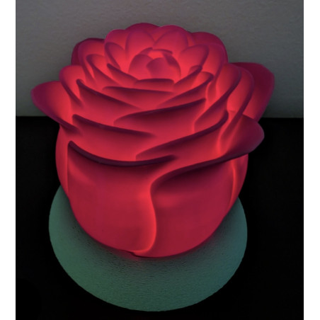 Rose lumineuse